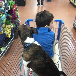 Meet your Posher, Carol